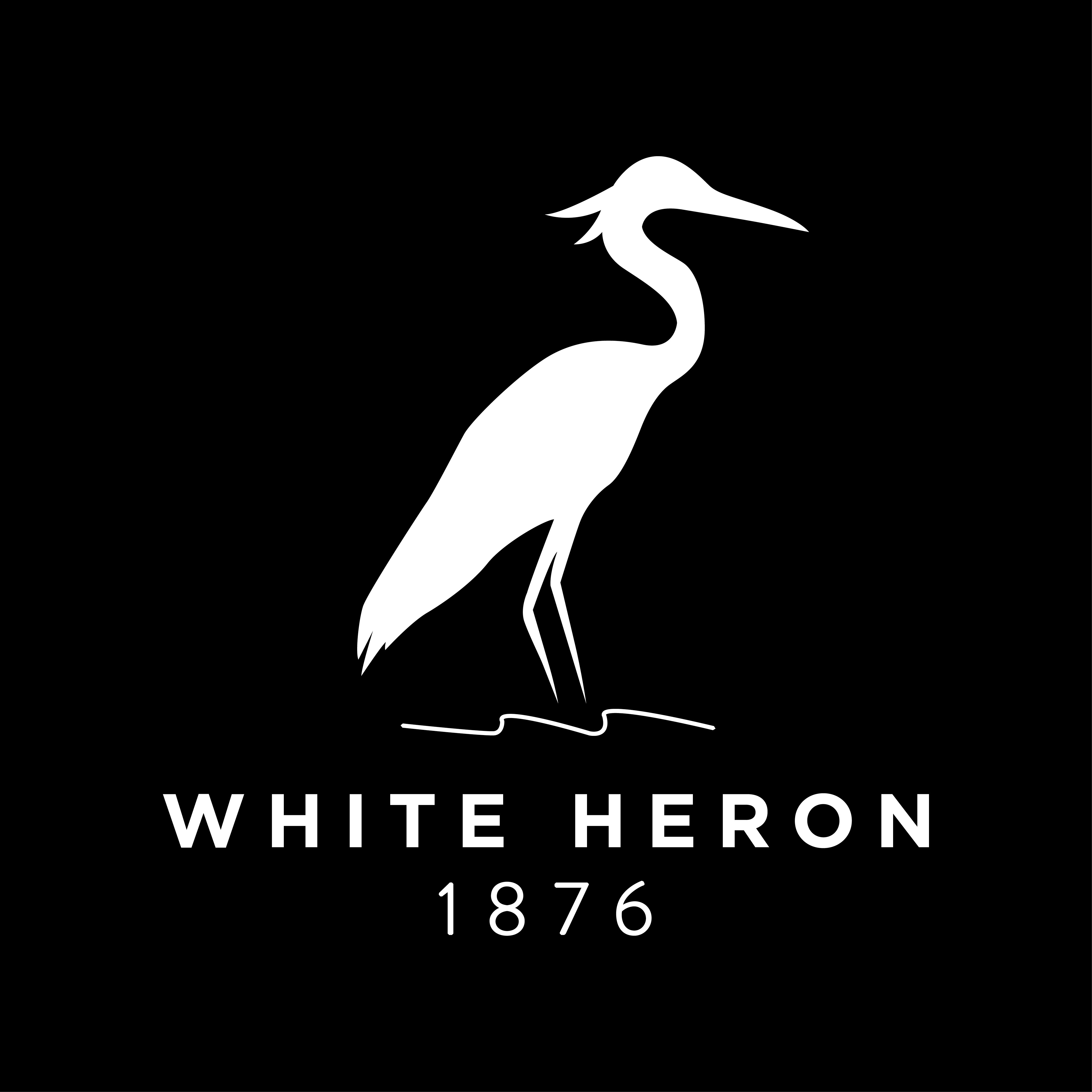 White Heron