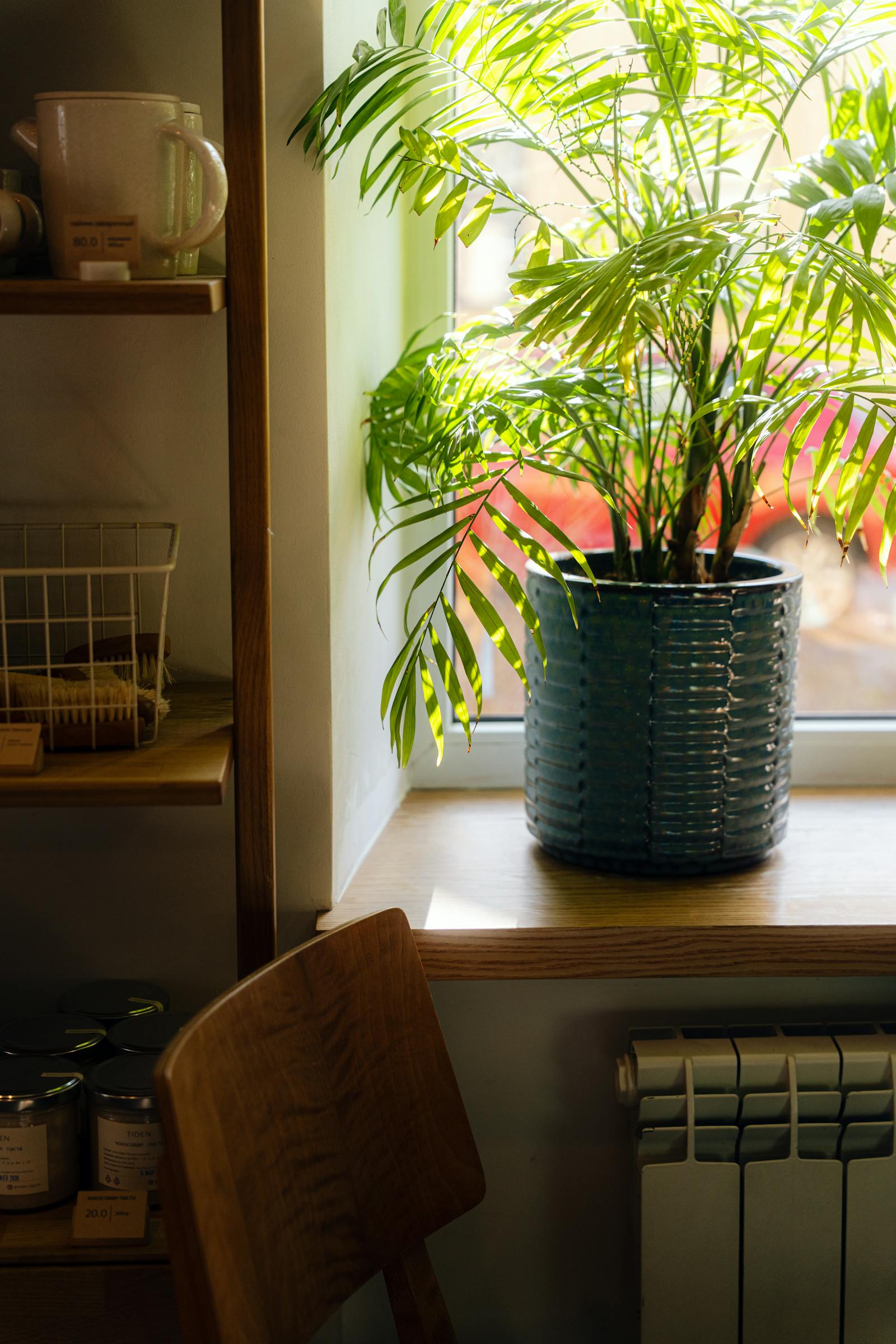 Care home interior with natural light and comfortable spaces